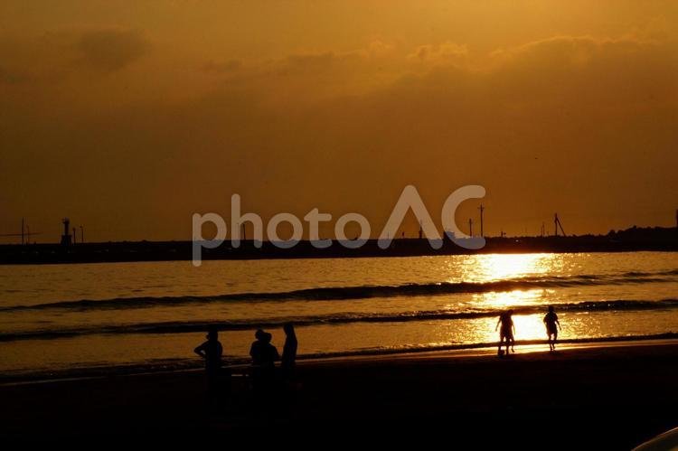 🏞️ 나기사 공원 (나기사 코엔) 이미지 6